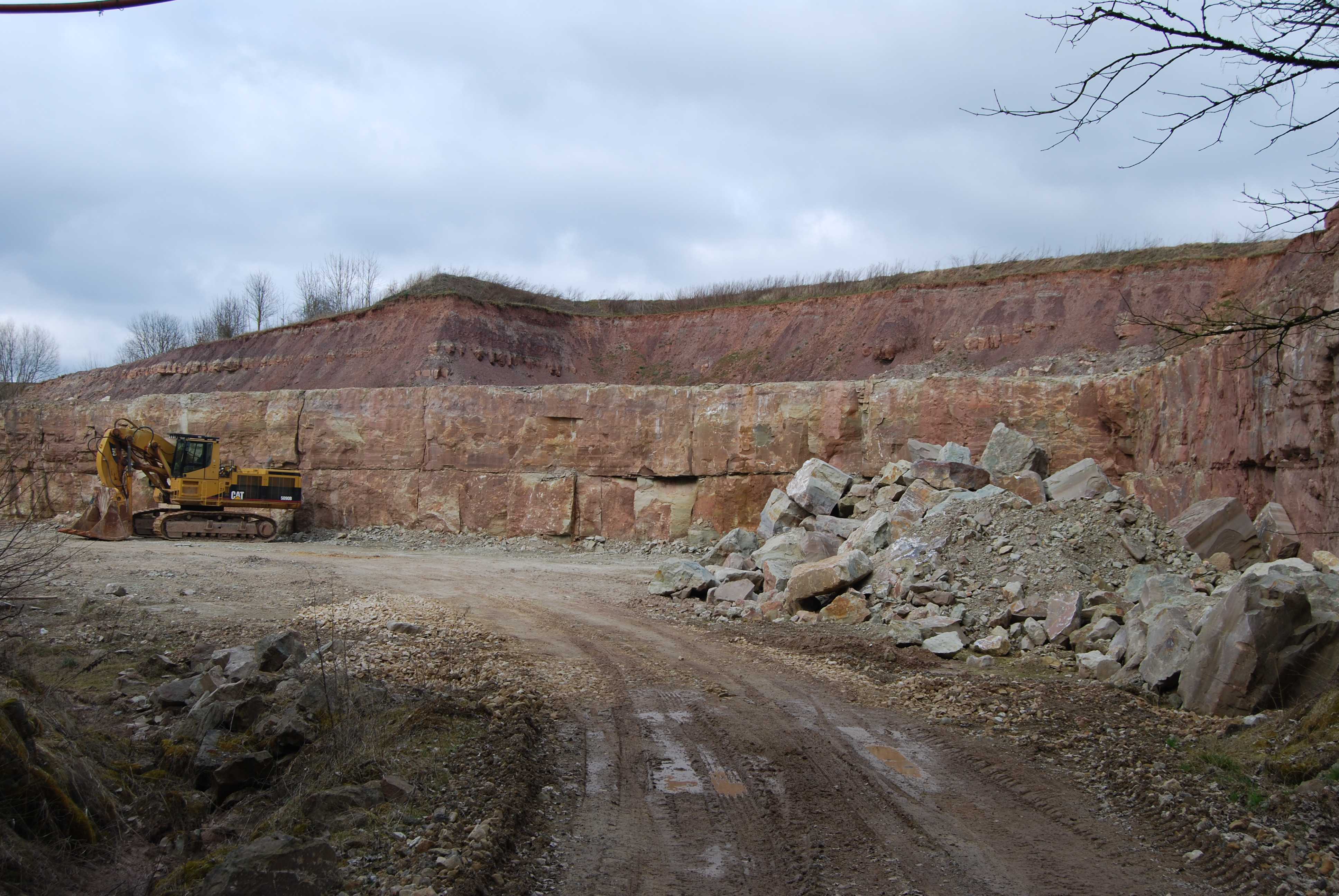 Marche Gourmande 2017